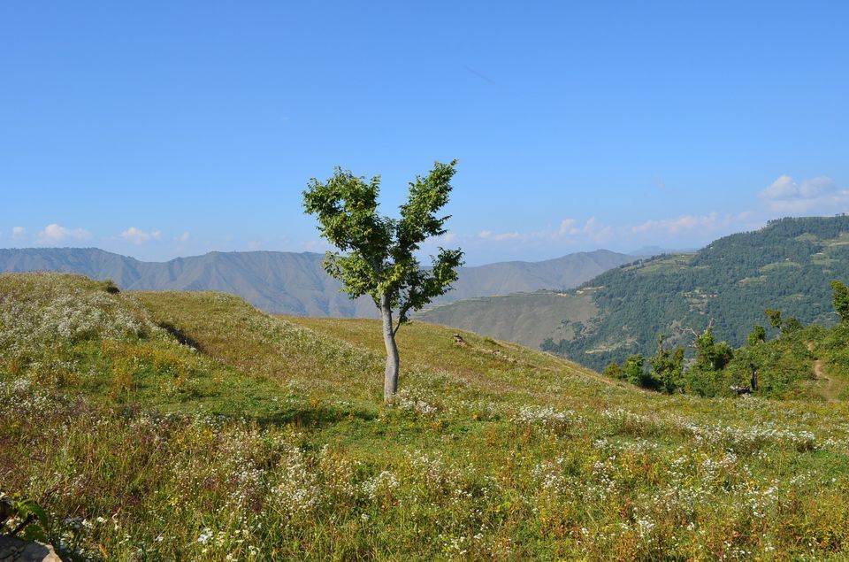 Photo of Nag Tibba - A Photo Story 8/18 by Nandini