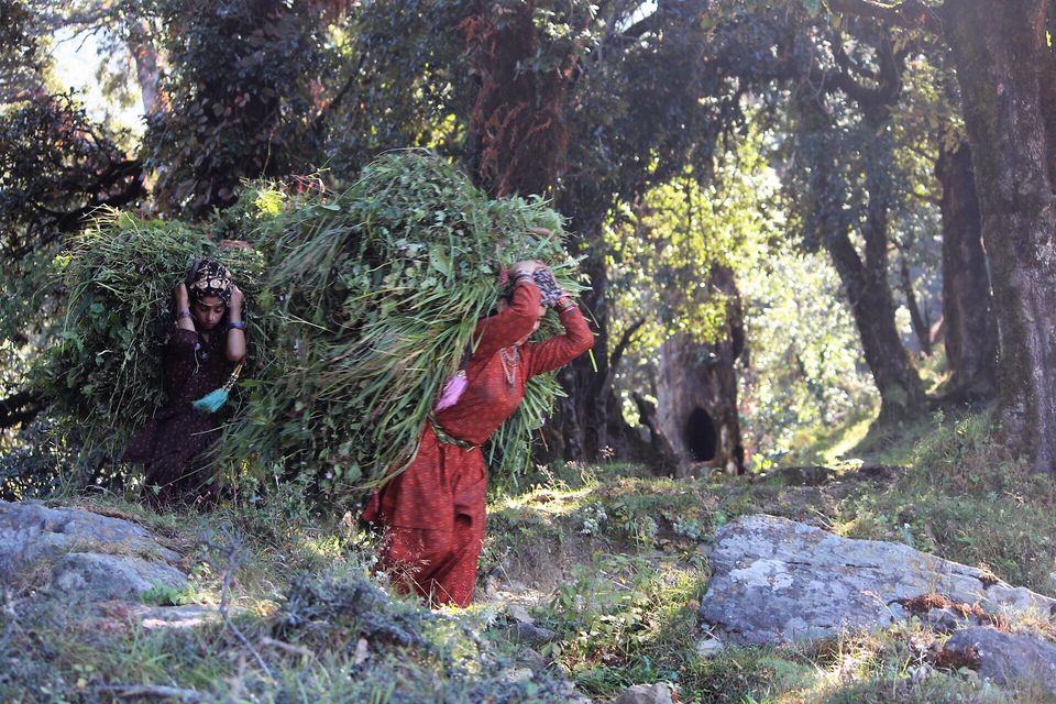Photo of Nag Tibba - A Photo Story 4/18 by Nandini