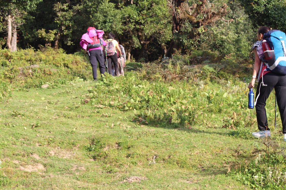 Photo of Nag Tibba - A Photo Story 10/18 by Nandini