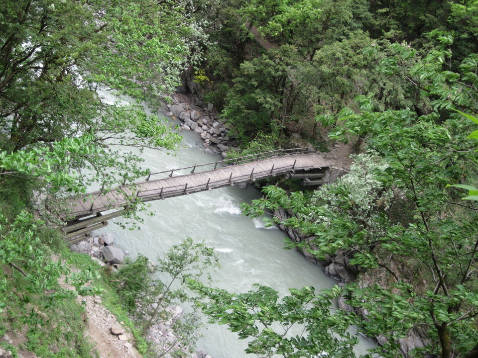 Photo of Har Ki Dun and Hata Valley Trek- Photo Story 2/12 by Nandini