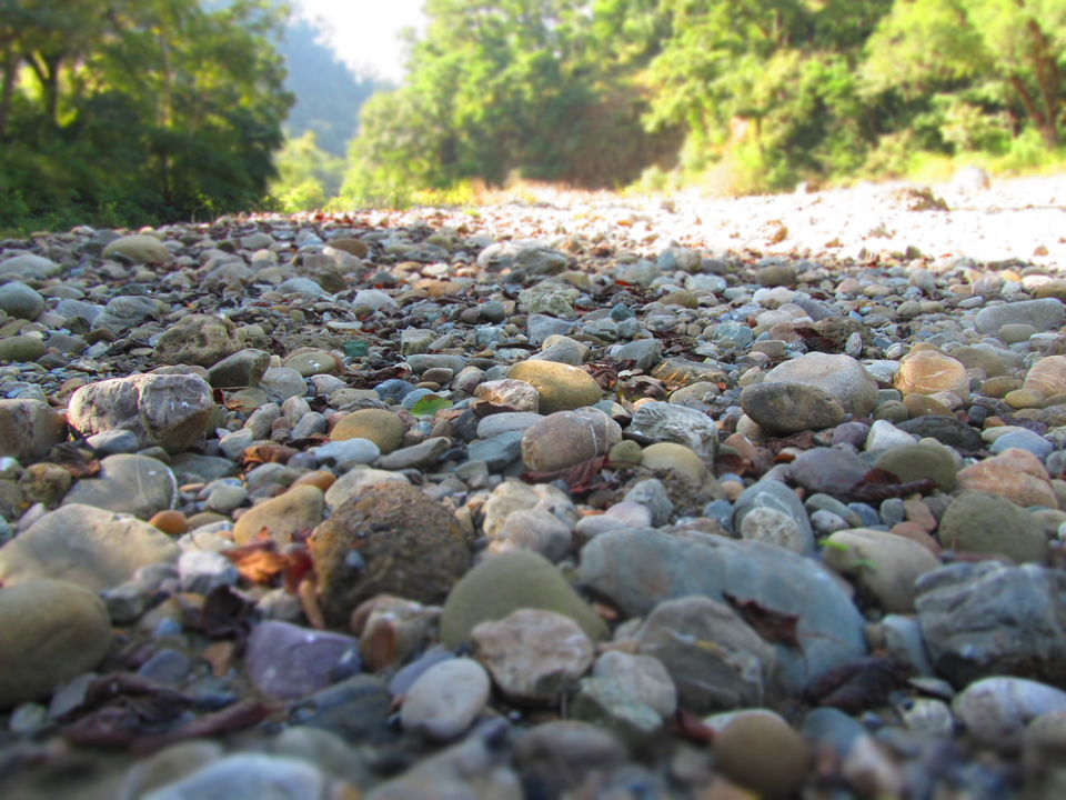 Photo of Exploring the Wilderness Jim Corbett National Park has to Offer | Trip Plan | Details 2/42 by Shayaan Ahmad Noori