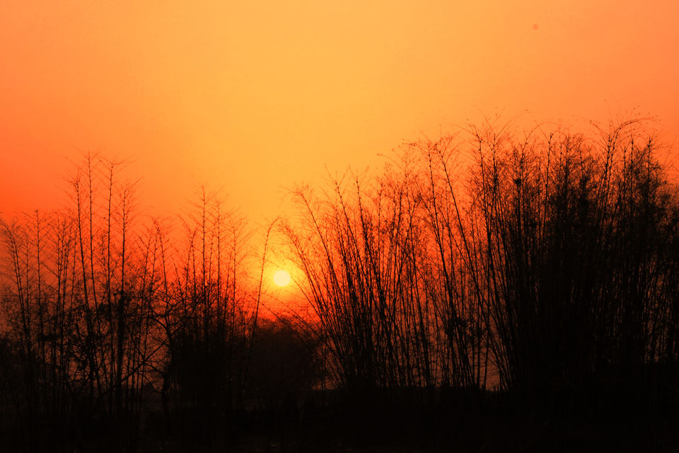 Photo of India Through My Camera lens - My Memories Lane by Shayaan Ahmad Noori