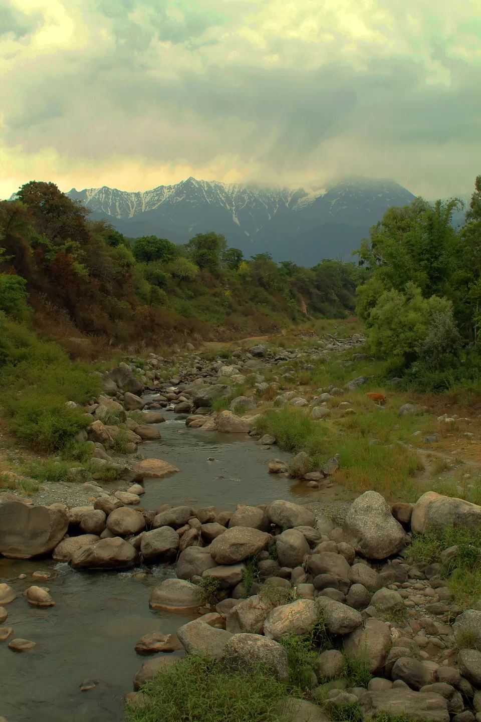 Photo of Dharamshala, Himachal Pradesh, India by Shayaan Ahmad Noori