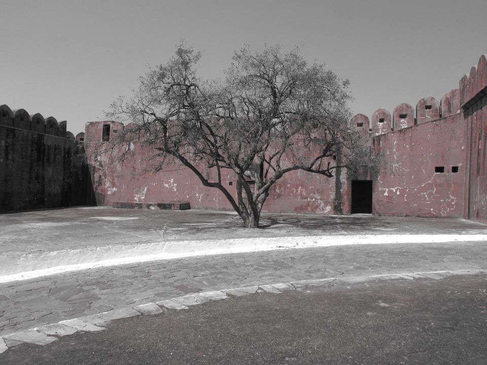 Photo of Exploring Jaipur - Where Monkeys are being worshiped 18/25 by Shayaan Ahmad Noori