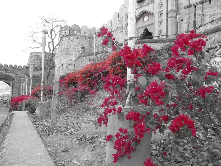 Photo of Jhansi, Uttar Pradesh, India by Shayaan Ahmad Noori