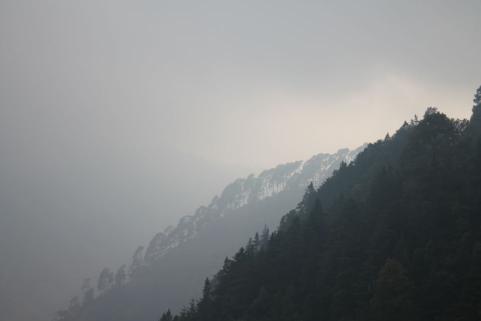 Photo of Nainital - A Must City to see for Boating Lovers by Shayaan Ahmad Noori