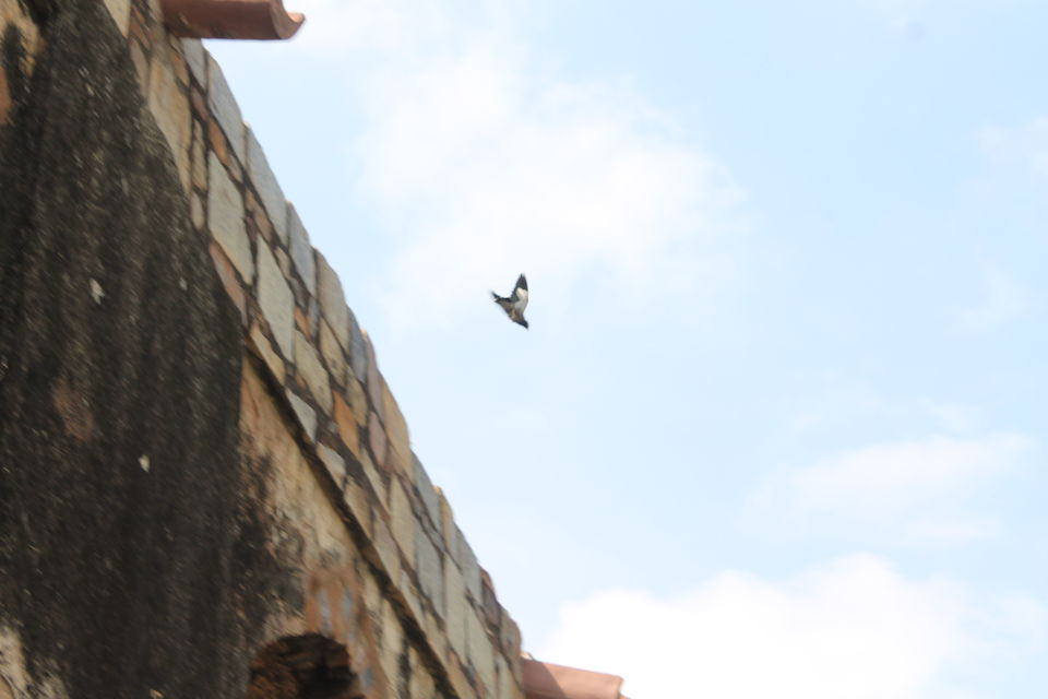 Photo of Hidden Side Of Purana Qila - Oldest Fort of Delhi 3/7 by Shayaan Ahmad Noori