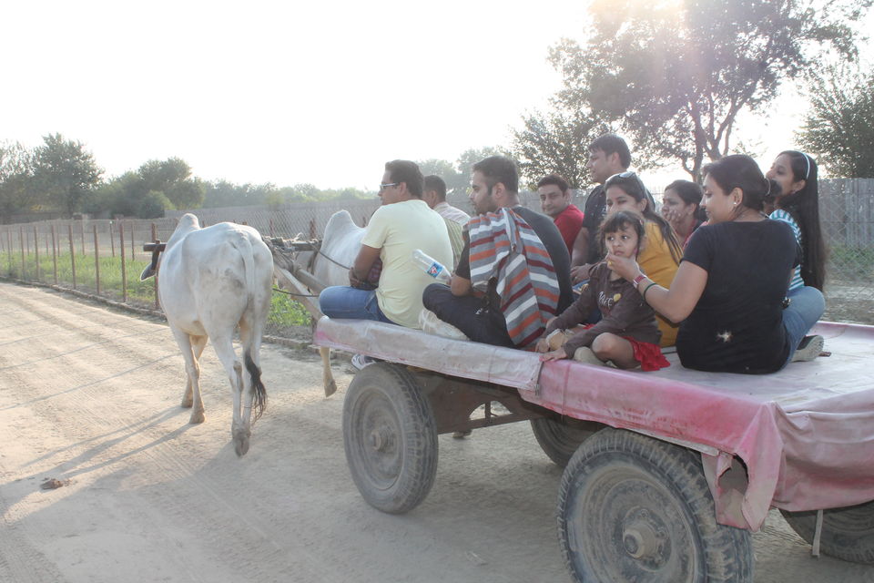 Photo of Pratapgarh Farms & Resorts, Jhajjar, Haryana, India by Shayaan Ahmad Noori