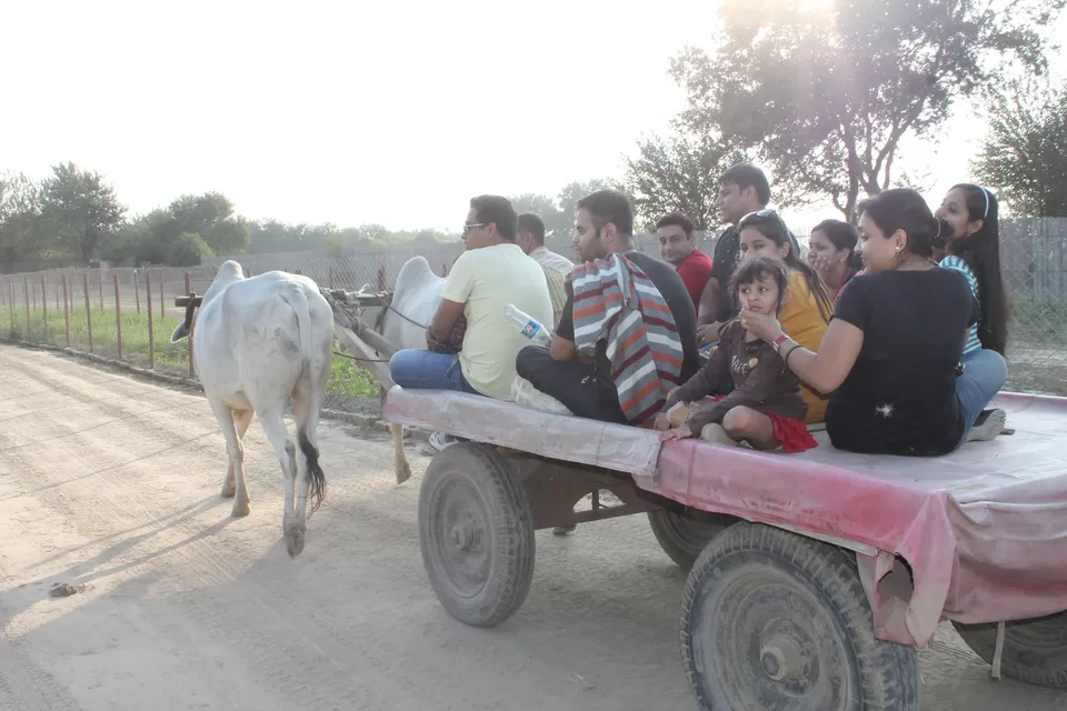 Photo of Pratapgarh Farms & Resorts, Jhajjar, Haryana, India by Shayaan Ahmad Noori
