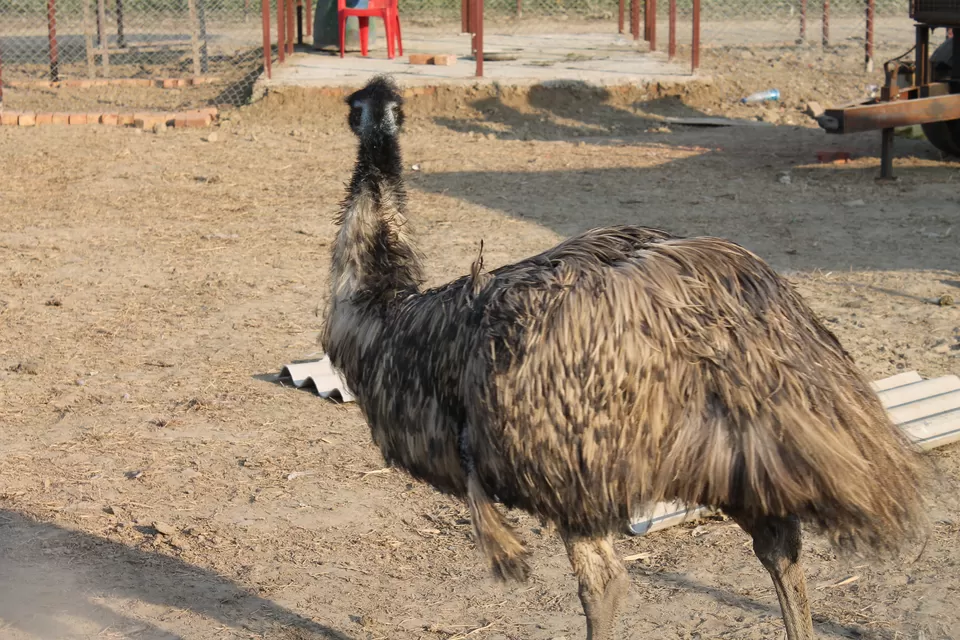 Photo of Pratapgarh Farms & Resorts, Jhajjar, Haryana, India by Shayaan Ahmad Noori