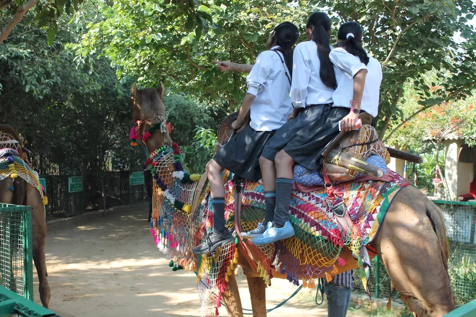 Photo of Pratapgarh Farms & Resorts, Jhajjar, Haryana, India by Shayaan Ahmad Noori