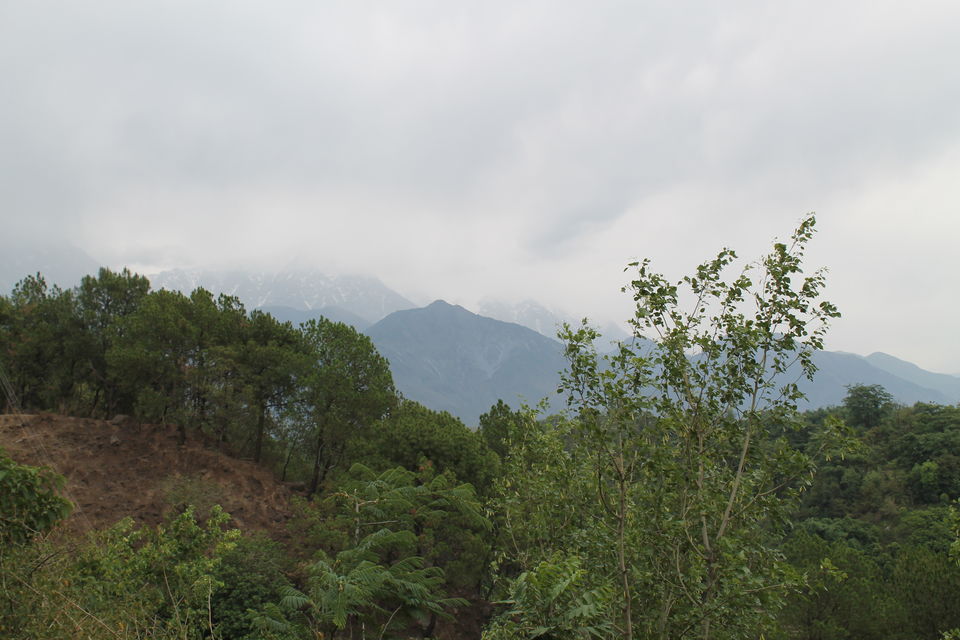 Photo of McLeodGanj - Where Tibetans Are Actually Indians 22/27 by Shayaan Ahmad Noori