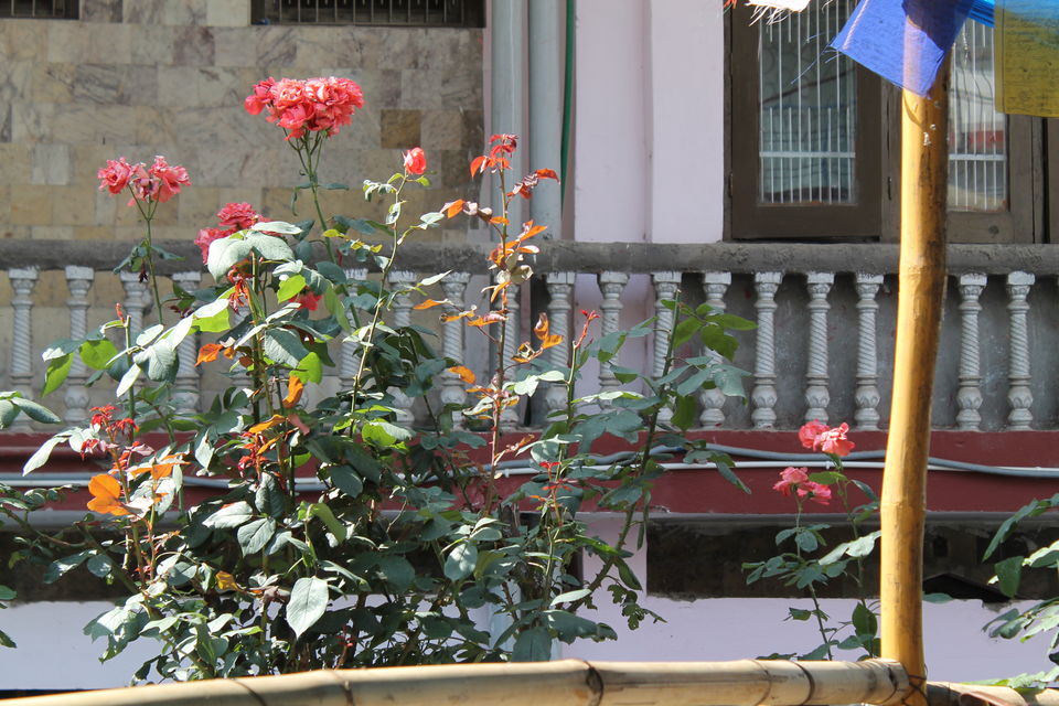 Photo of McLeodGanj - Where Tibetans Are Actually Indians 24/27 by Shayaan Ahmad Noori