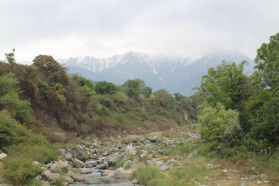 Photo of McLeodGanj - Where Tibetans Are Actually Indians 26/27 by Shayaan Ahmad Noori