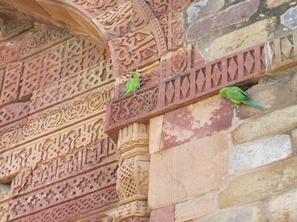Photo of Qutub Minar- Through my Eyes 2/21 by Shayaan Ahmad Noori