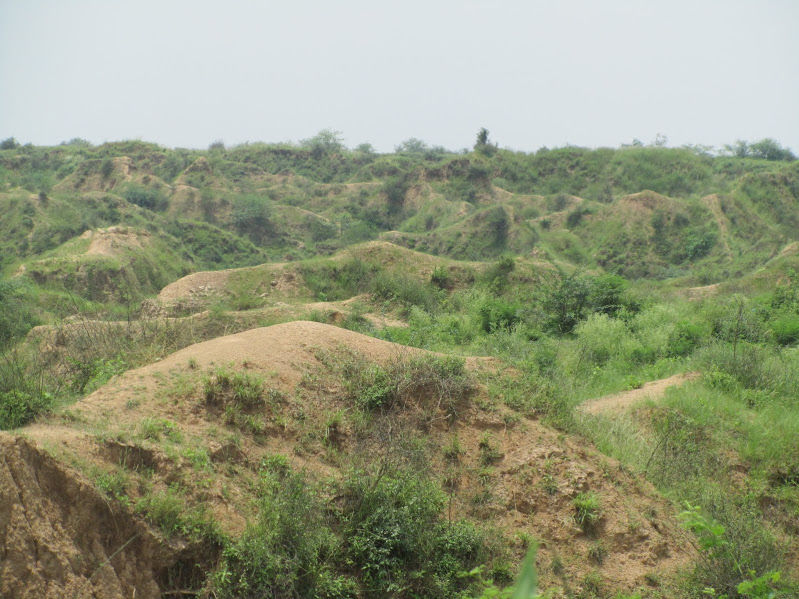 Photo of Explored Gwalior in Just 2 Days and under 5000 INR by Shayaan Ahmad Noori