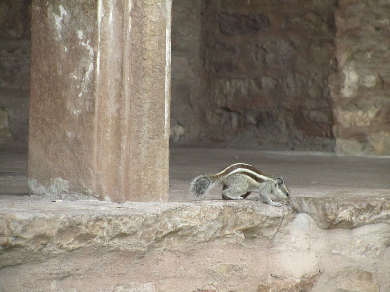 Photo of Explored Gwalior in Just 2 Days and under 5000 INR by Shayaan Ahmad Noori