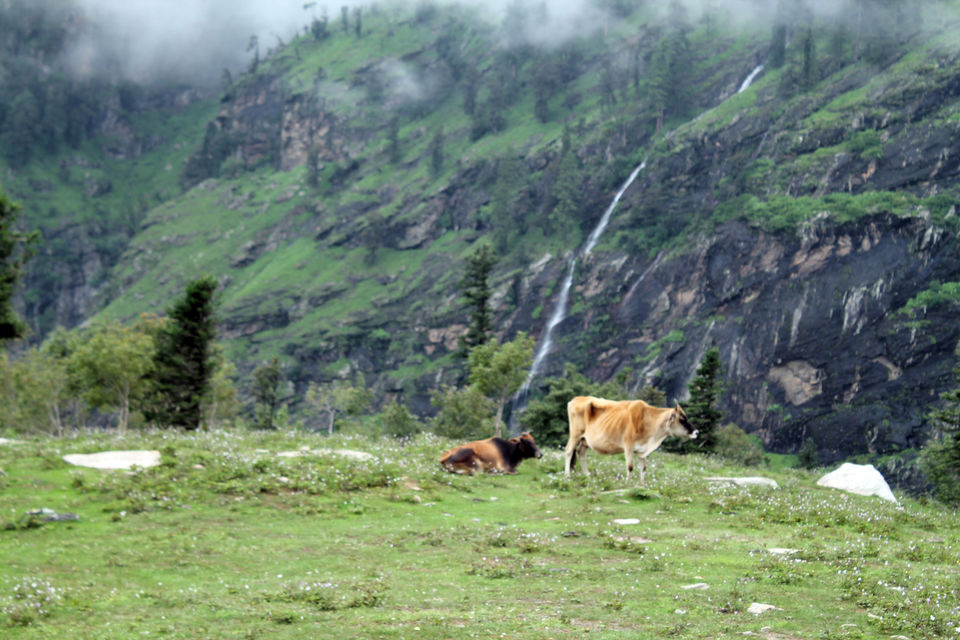 Photo of Himalaya is Beautiful, These Pictures would Prove it. 8/37 by Shayaan Ahmad Noori