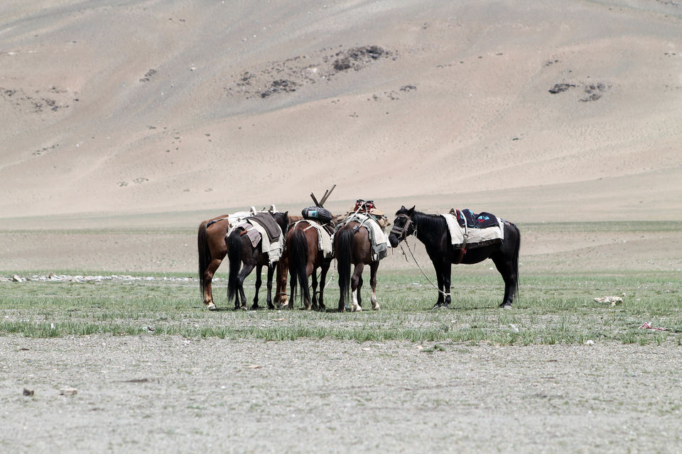 Photo of Himalaya is Beautiful, These Pictures would Prove it. 19/37 by Shayaan Ahmad Noori