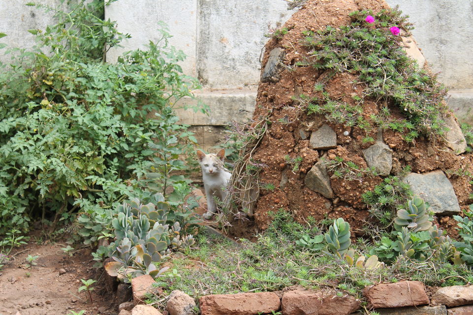 Photo of Wax Museum - A Small Treasure Hidden At Outskirts of Bangalore 28/29 by Shayaan Ahmad Noori