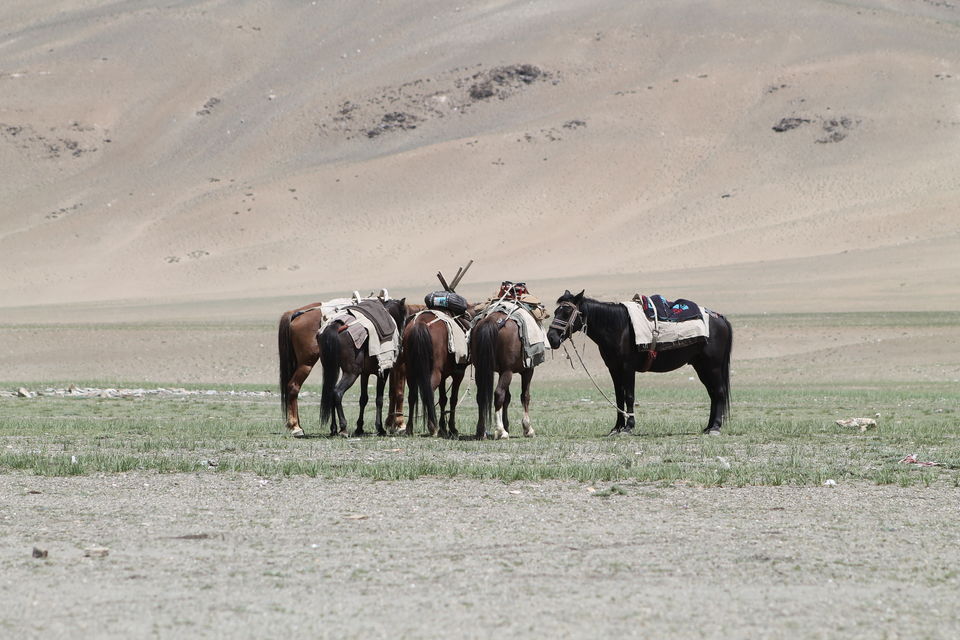 Photo of These Photos would show why I Love Himalaya so much #TripotoClicksHimalayas 25/44 by Shayaan Ahmad Noori