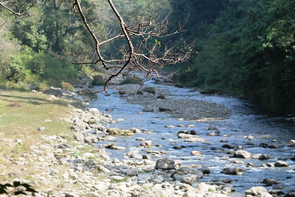 Photo of These Photos would show why I Love Himalaya so much #TripotoClicksHimalayas 31/44 by Shayaan Ahmad Noori