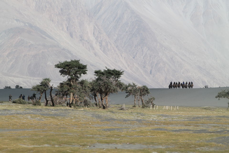 Photo of These Photos would show why I Love Himalaya so much #TripotoClicksHimalayas 37/44 by Shayaan Ahmad Noori