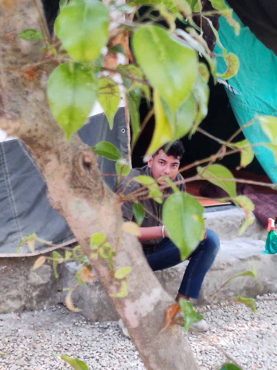 Photo of I Found Nature In Jungle At Jim Corbett So Close Precisely by Shayaan Ahmad Noori