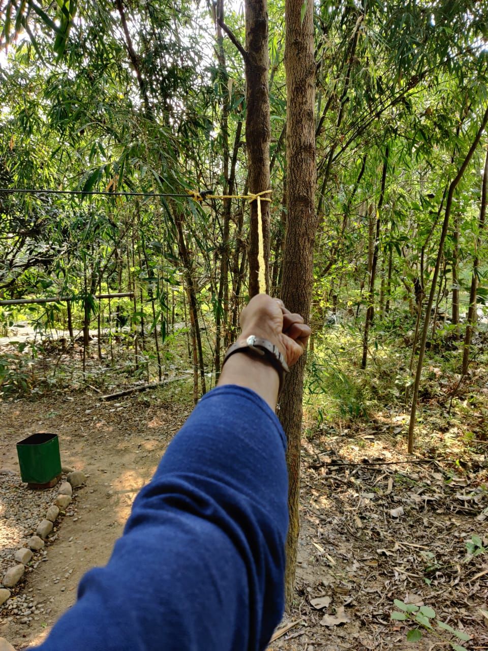 Photo of I Found Nature In Jungle At Jim Corbett So Close Precisely by Shayaan Ahmad Noori
