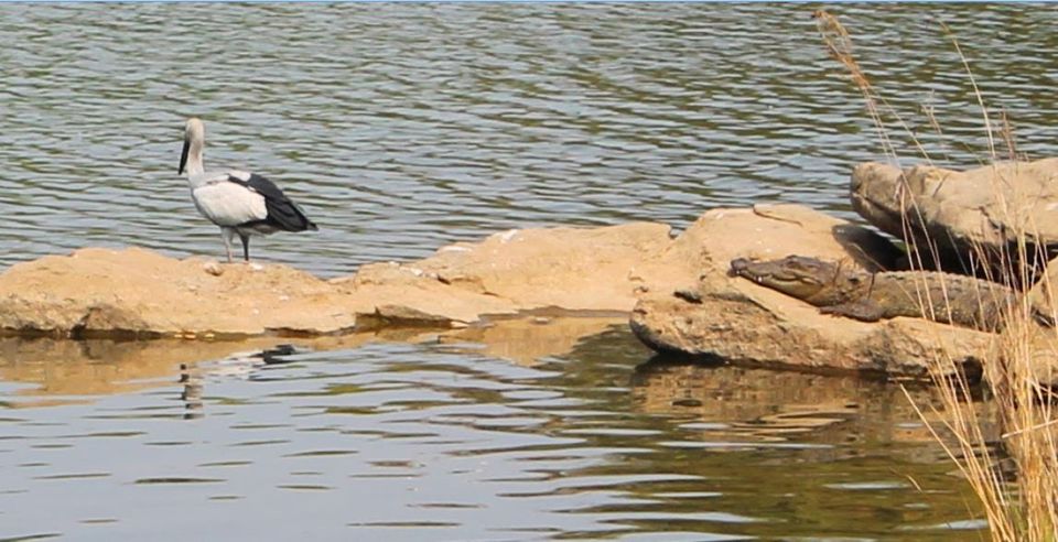 Photo of Ranganathittu Bird Sanctuary - Mysore - Karnataka 1/8 by Shayaan Ahmad Noori