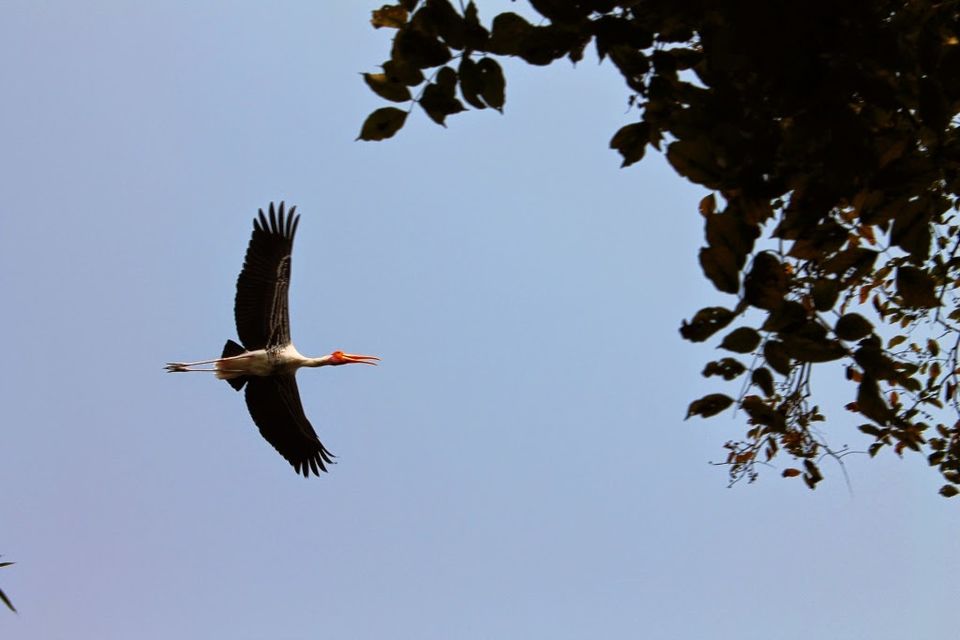 Photo of Ranganathittu Bird Sanctuary - Mysore - Karnataka 3/8 by Shayaan Ahmad Noori