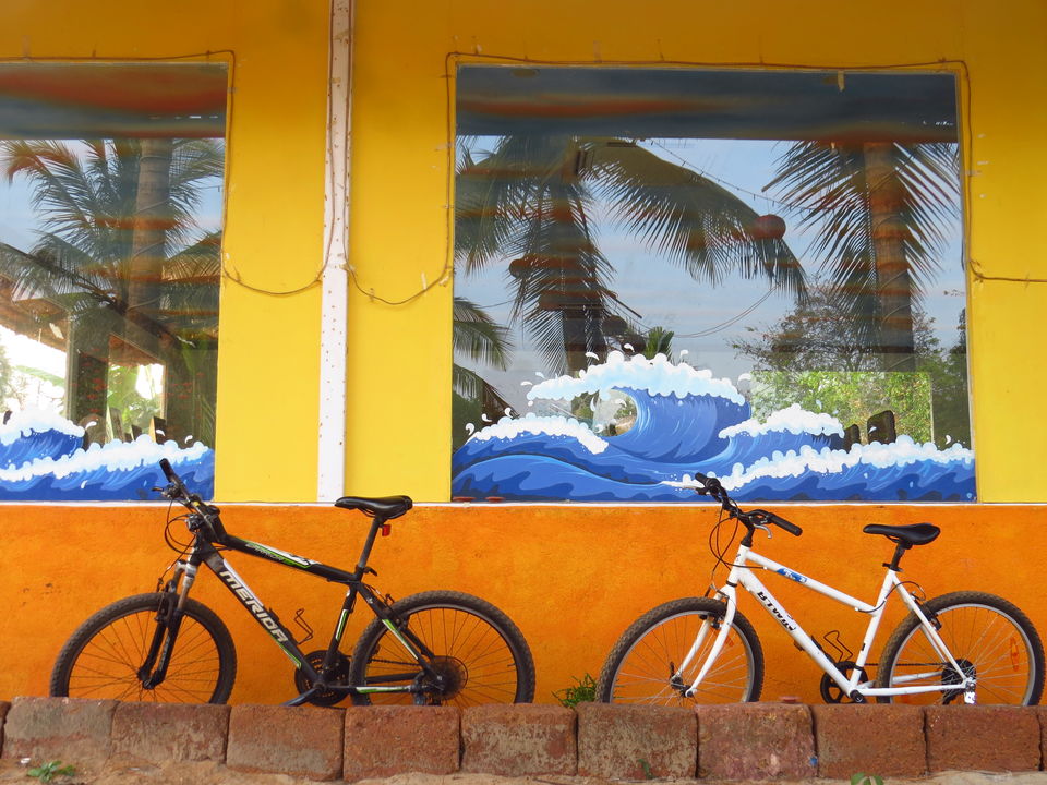Photo of Kan Kan Konkan Ka, Cycling in Tarkarli with Snorkling, Scuba diving and more 1/2 by Jeff Kurian