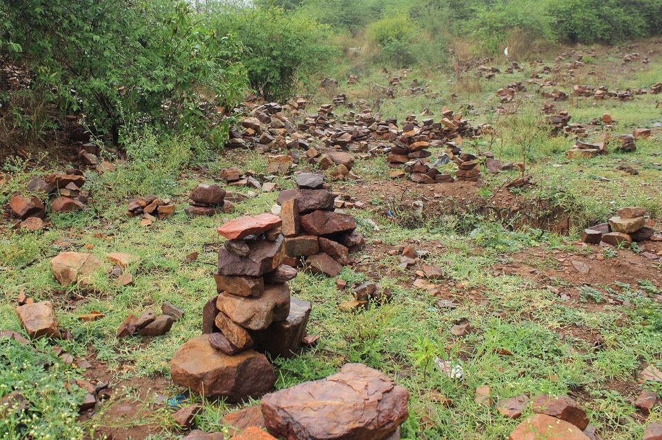 Photo of Tracking the Pugmarks of the Wild Wild Tiger - Ranthambore Tiger Reserve 10/10 by Richa Gupta