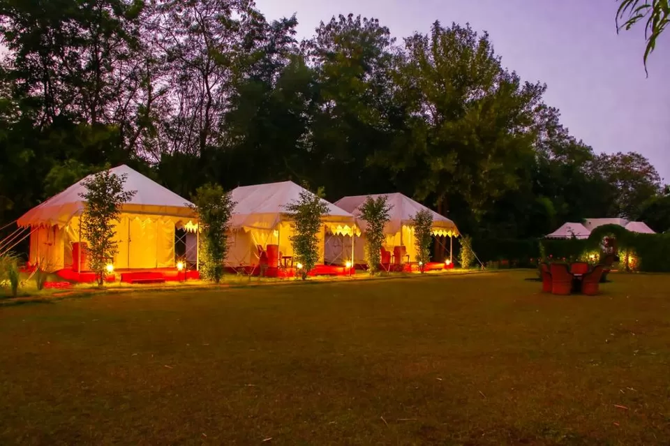 Photo of Jungle View Resort Ranthambhore, Sawai Madhopur, Rajasthan, India by Priya Pareek