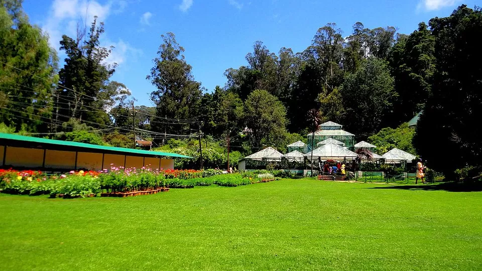 Photo of Ooty Botanical Gardens, Vannarapettai, Ooty, Tamil Nadu, India by Priya Pareek