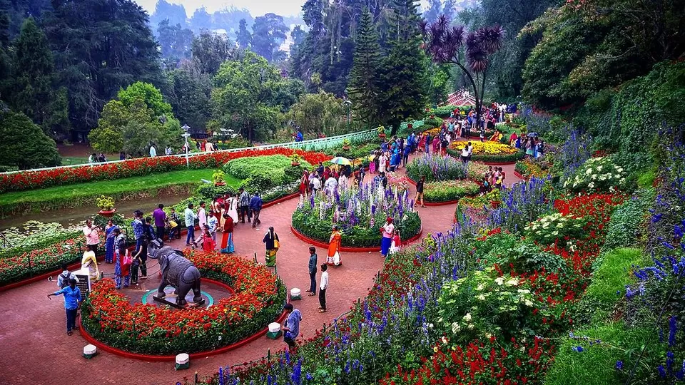 Photo of Ooty Botanical Gardens, Vannarapettai, Ooty, Tamil Nadu, India by Priya Pareek