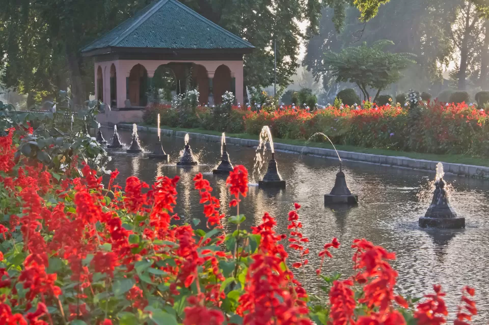 Photo of Shalimar Bagh, Shalimar, Rainawari, Srinagar by Priya Pareek
