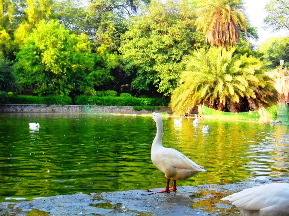 Photo of Lodhi Estate, New Delhi, Delhi, India by Priya Pareek