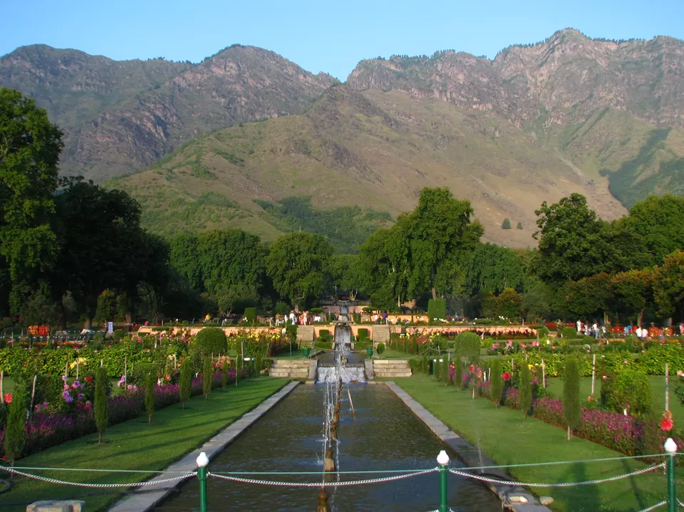 Photo of Nishat Garden, Nishat, Srinagar by Priya Pareek