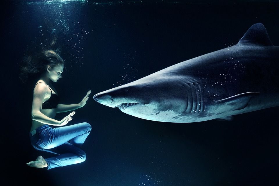 Photo of Water Babies Rejoice! Maldives Will Soon Introduce Underwater Yoga by Priya Pareek