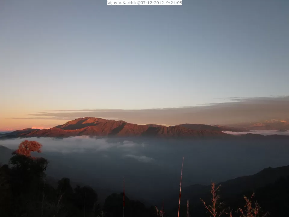 Photo of Phalut, Singalila Forest by Priya Pareek