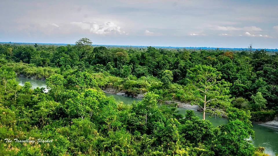 Photo of Jokai Botanical Garden, Bolai T.E., Assam, India by Priya Pareek