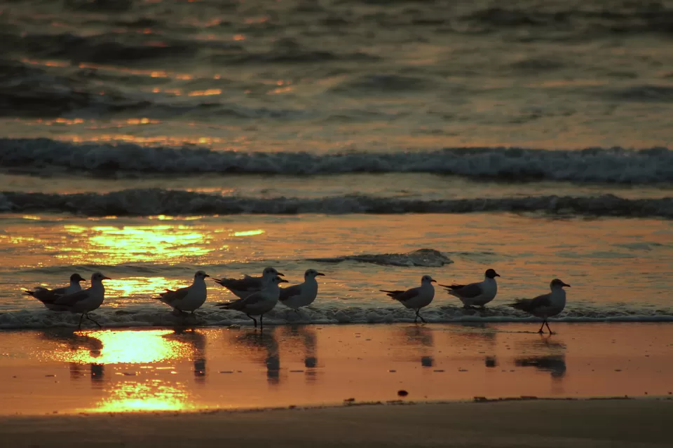Photo of Mobor Beach, Goa, India by Priya Pareek