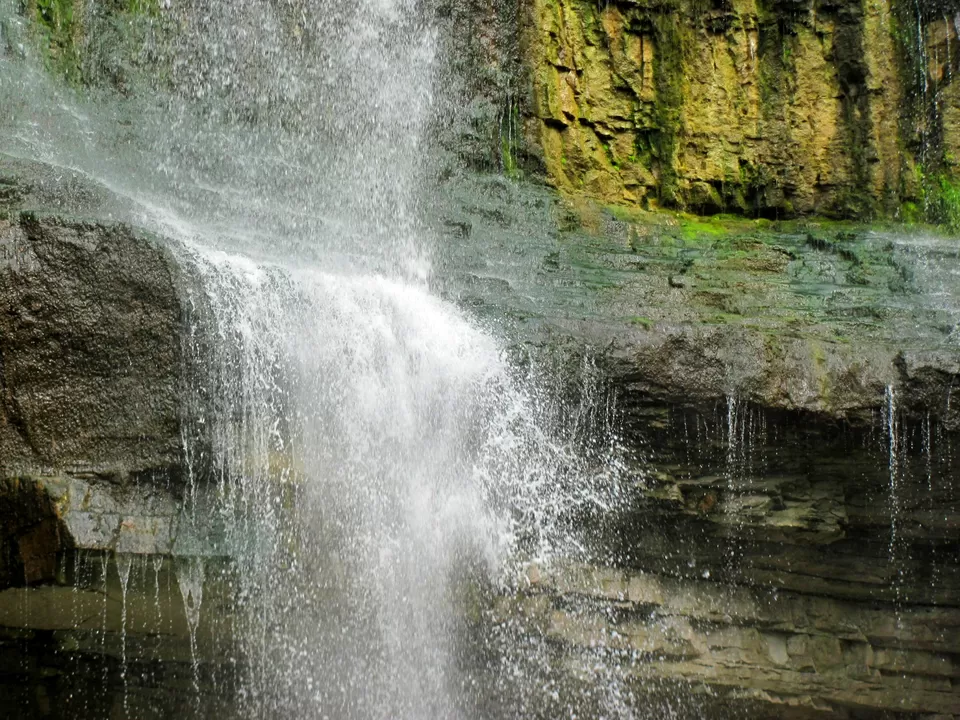 Photo of Palaruvi Waterfalls, Palaruvi, Kollam, Kerala, India by Priya Pareek