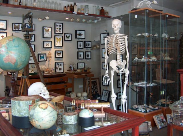 Photo of Quirky Fascinating Museums Around India by Priya Pareek