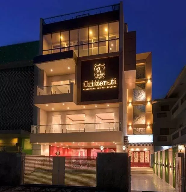 Photo of CRITTERATI, DLF Phase IV, Sector 28, Gurugram, Haryana, India by Priya Pareek