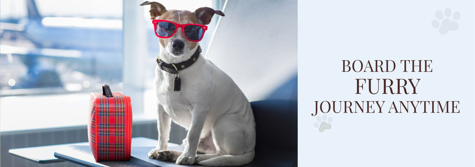 Photo of Critterati: The Hotel That Redefines Pet Culture by Priya Pareek