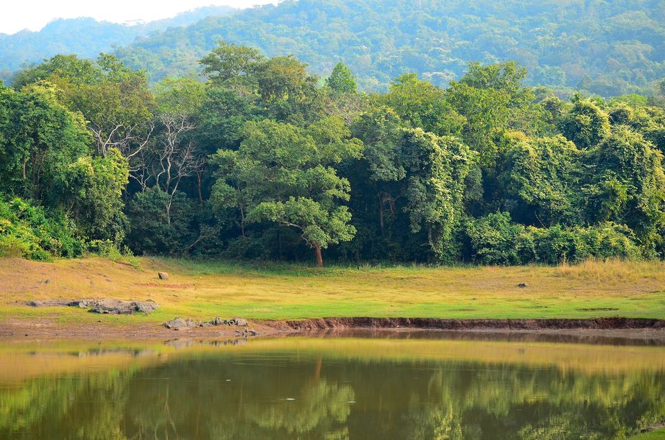 Photo of Dalma Wildlife Sanctuary Entrance, National Highway 33, Saharbera, Jharkhand, India by Priya Pareek