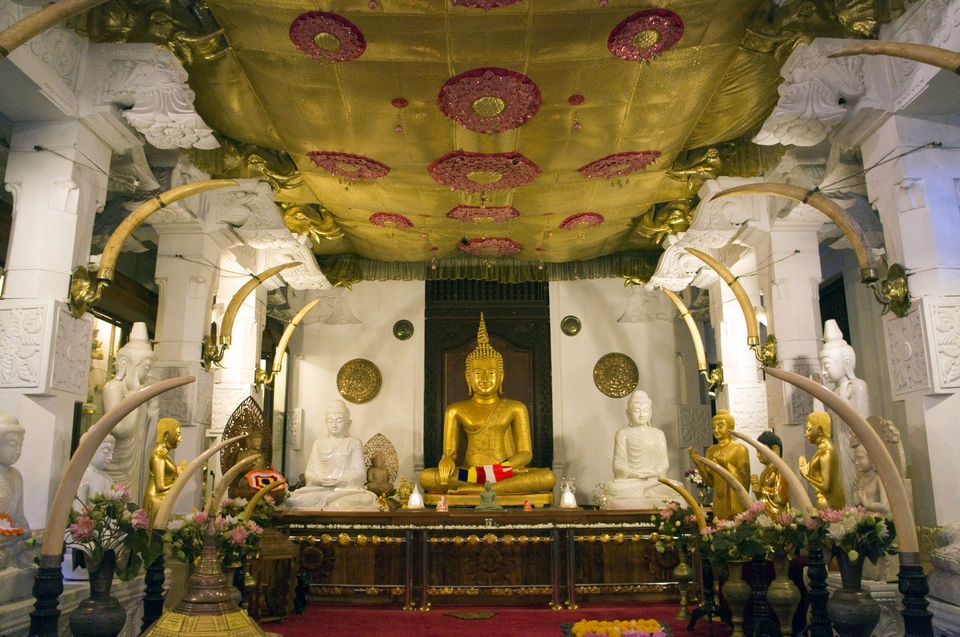 Photo of The Best Of Sri Lanka In Three Days by Priya Pareek