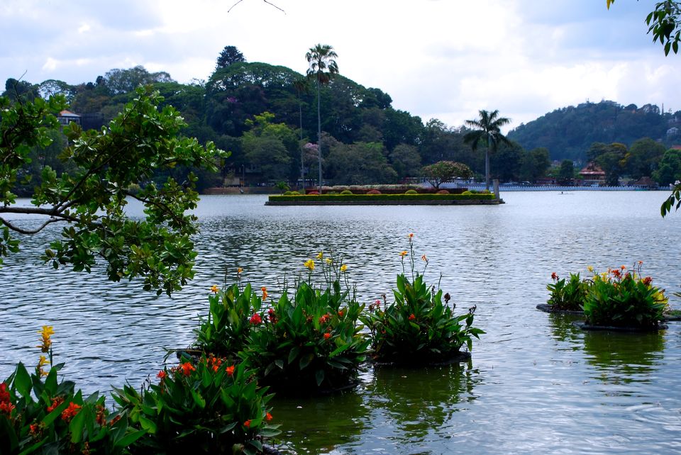 Photo of The Best Of Sri Lanka In Three Days by Priya Pareek